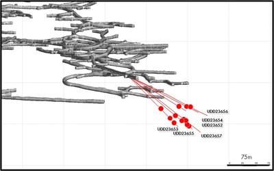 Figure 3: Baltic Western Extension Significant Intercept Location (Cross Section) (CNW Group/Superior Gold)